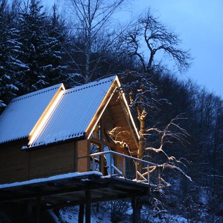 Tree House - Tara Place مويكوفاتش المظهر الخارجي الصورة