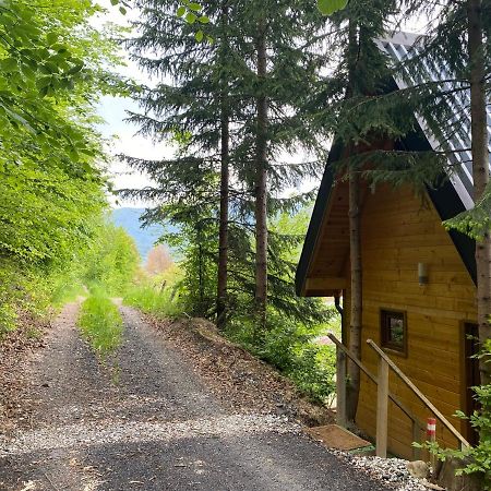 Tree House - Tara Place مويكوفاتش المظهر الخارجي الصورة