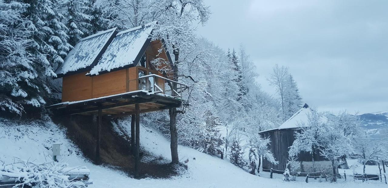 Tree House - Tara Place مويكوفاتش المظهر الخارجي الصورة