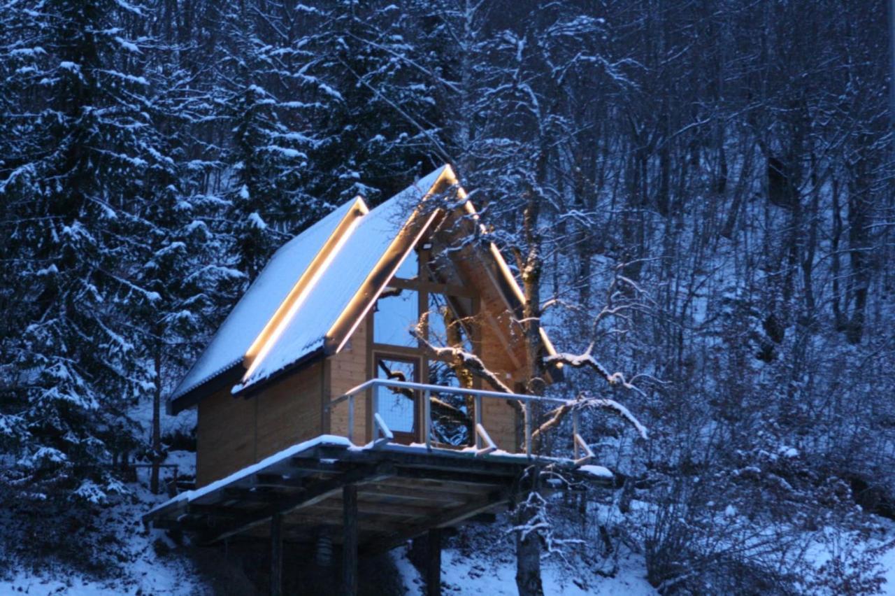 Tree House - Tara Place مويكوفاتش المظهر الخارجي الصورة