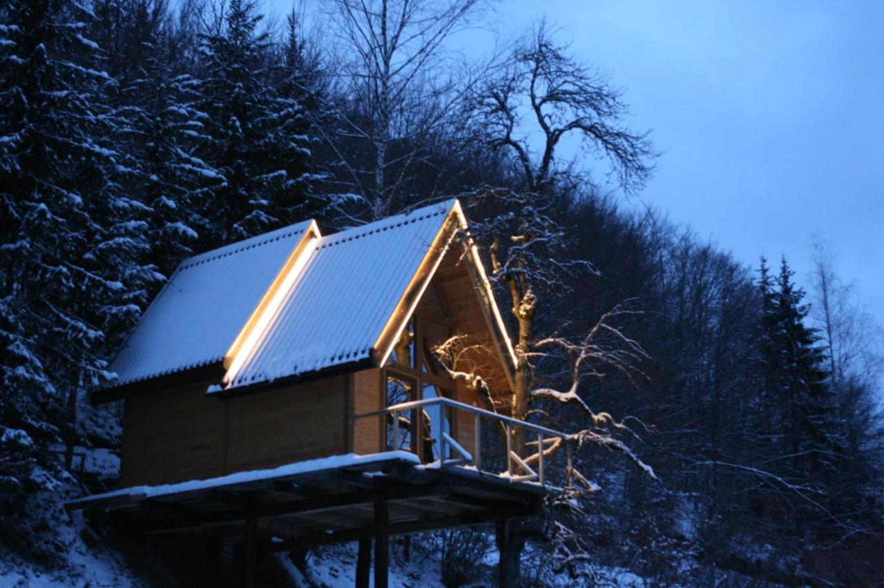 Tree House - Tara Place مويكوفاتش المظهر الخارجي الصورة