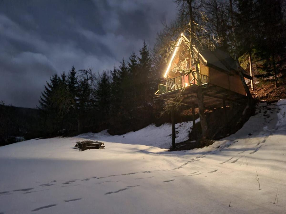 Tree House - Tara Place مويكوفاتش المظهر الخارجي الصورة