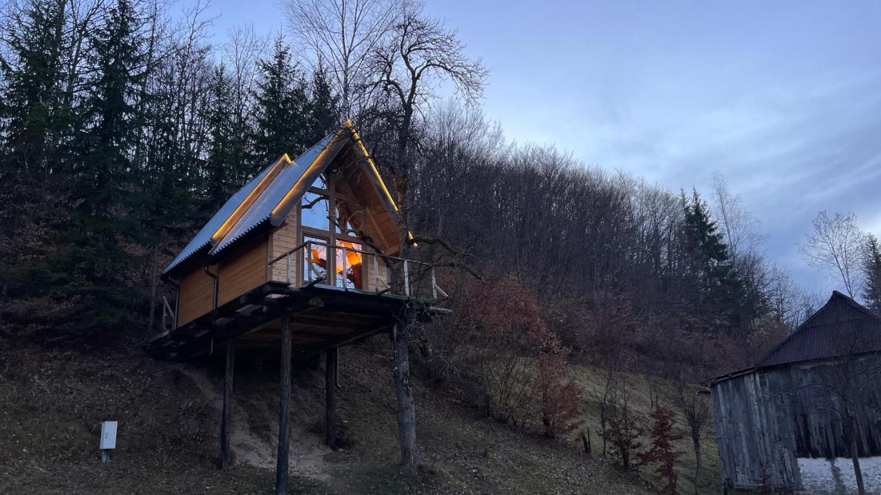 Tree House - Tara Place مويكوفاتش المظهر الخارجي الصورة