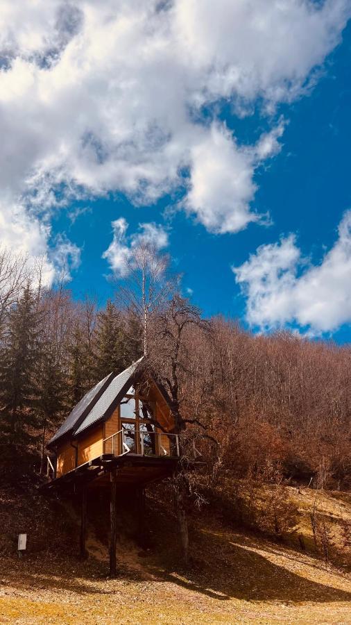 Tree House - Tara Place مويكوفاتش المظهر الخارجي الصورة