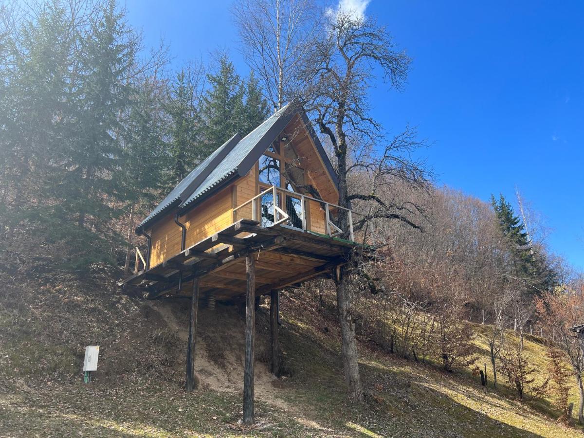 Tree House - Tara Place مويكوفاتش المظهر الخارجي الصورة