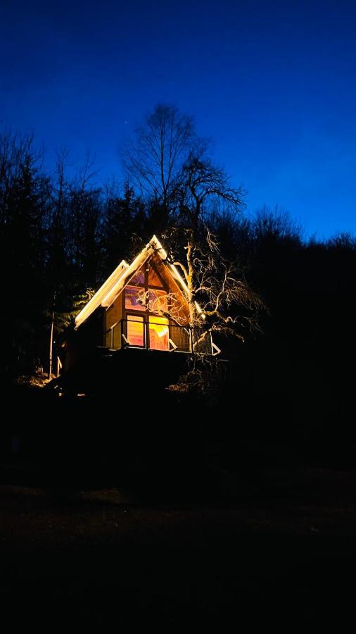 Tree House - Tara Place مويكوفاتش المظهر الخارجي الصورة