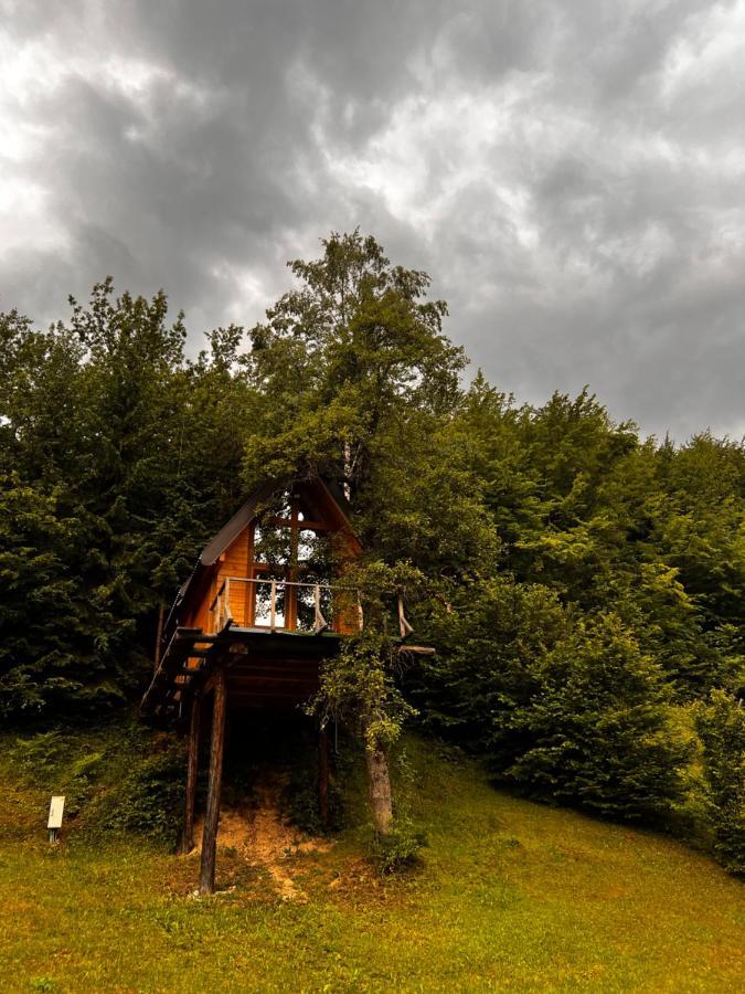 Tree House - Tara Place مويكوفاتش المظهر الخارجي الصورة
