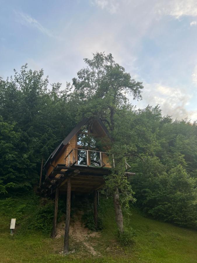 Tree House - Tara Place مويكوفاتش المظهر الخارجي الصورة