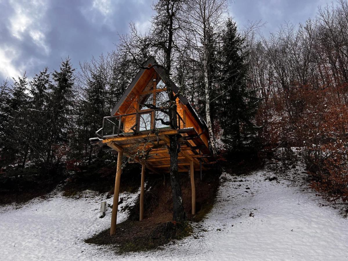 Tree House - Tara Place مويكوفاتش المظهر الخارجي الصورة