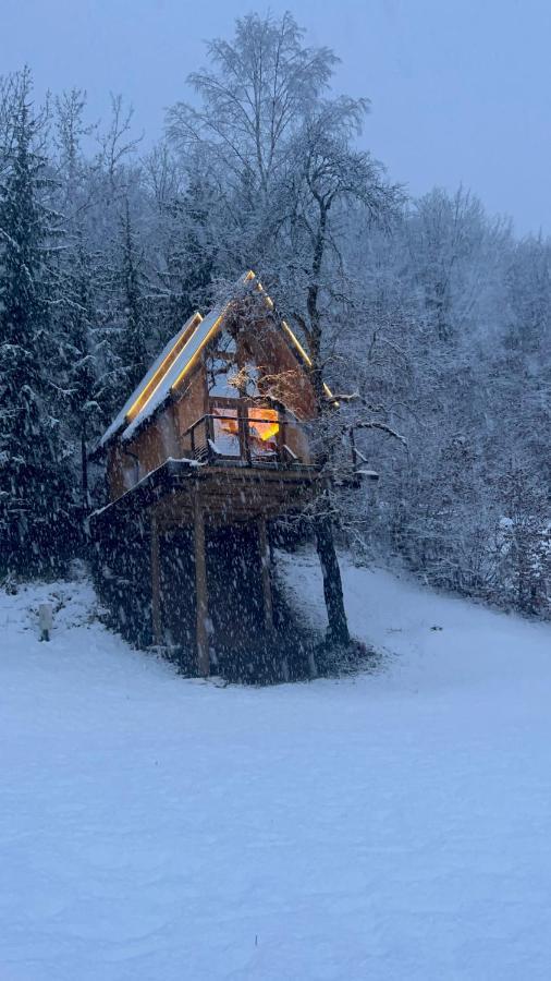 Tree House - Tara Place مويكوفاتش المظهر الخارجي الصورة
