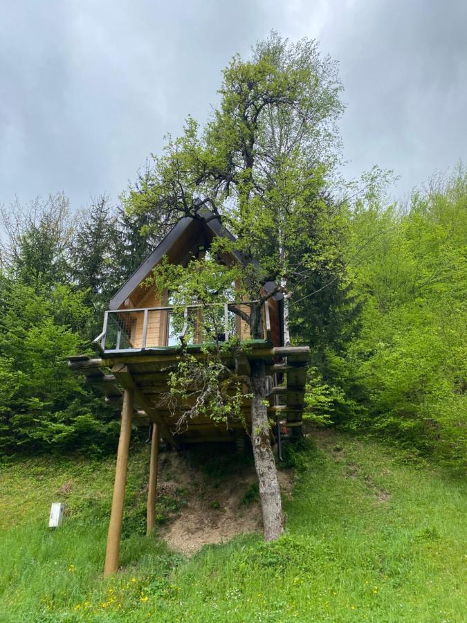 Tree House - Tara Place مويكوفاتش المظهر الخارجي الصورة