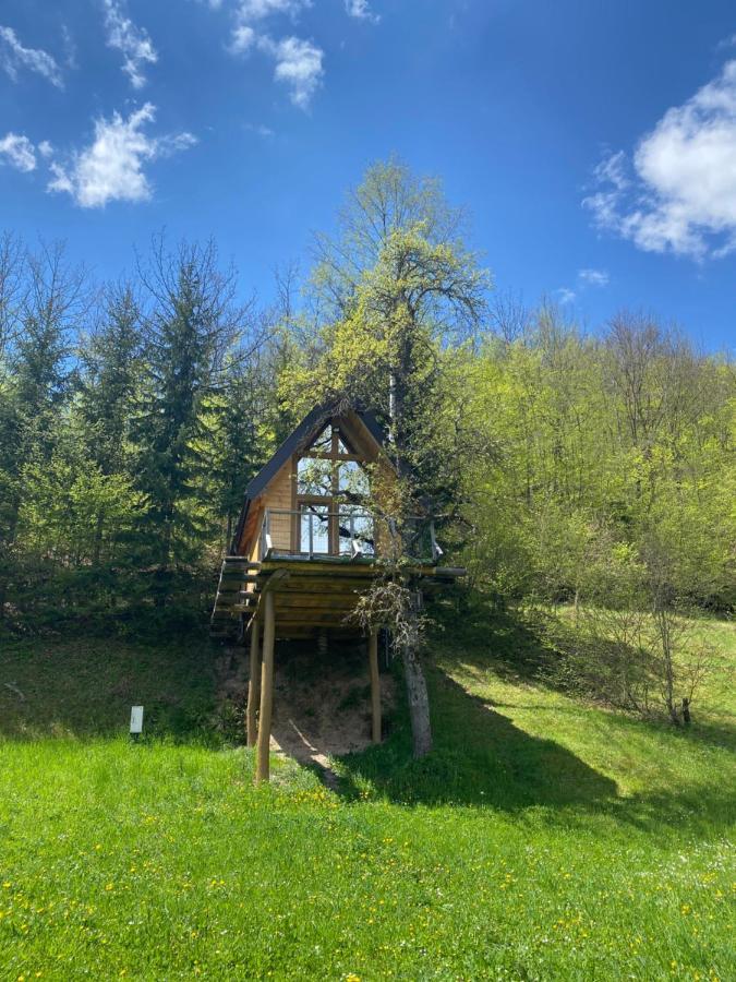 Tree House - Tara Place مويكوفاتش المظهر الخارجي الصورة