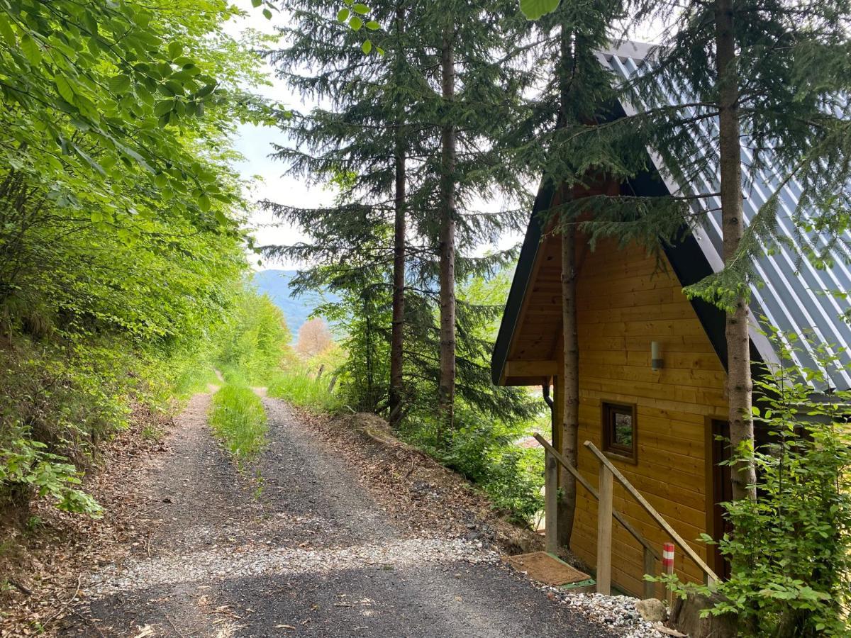 Tree House - Tara Place مويكوفاتش المظهر الخارجي الصورة